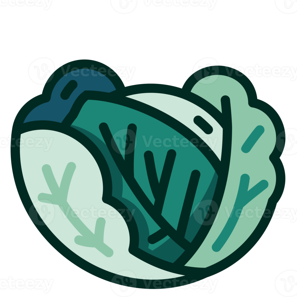 Cabbage flat green color png. png