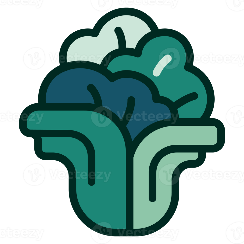 Lettuce salad flat green color png. png