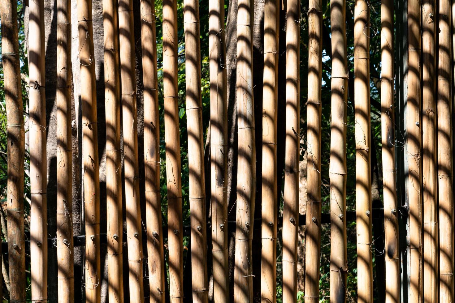 dry bamboo fence pattern with black shadow photo