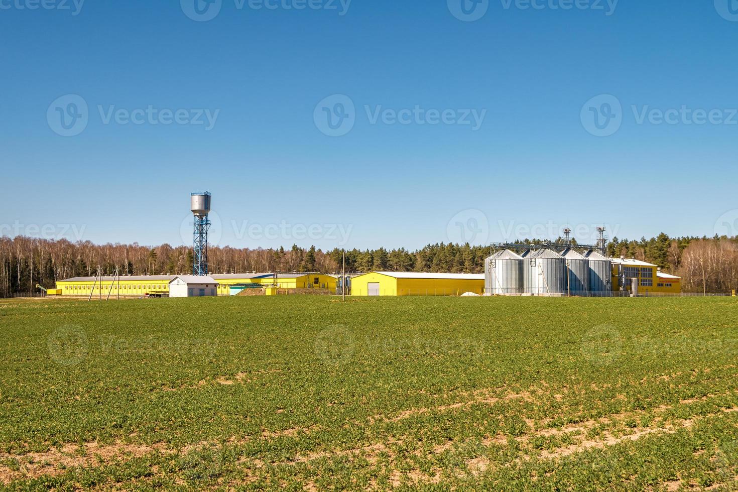 agro-processing plant for processing and silos for drying cleaning and storage of agricultural products, flour, cereals and grain. poultry farm photo