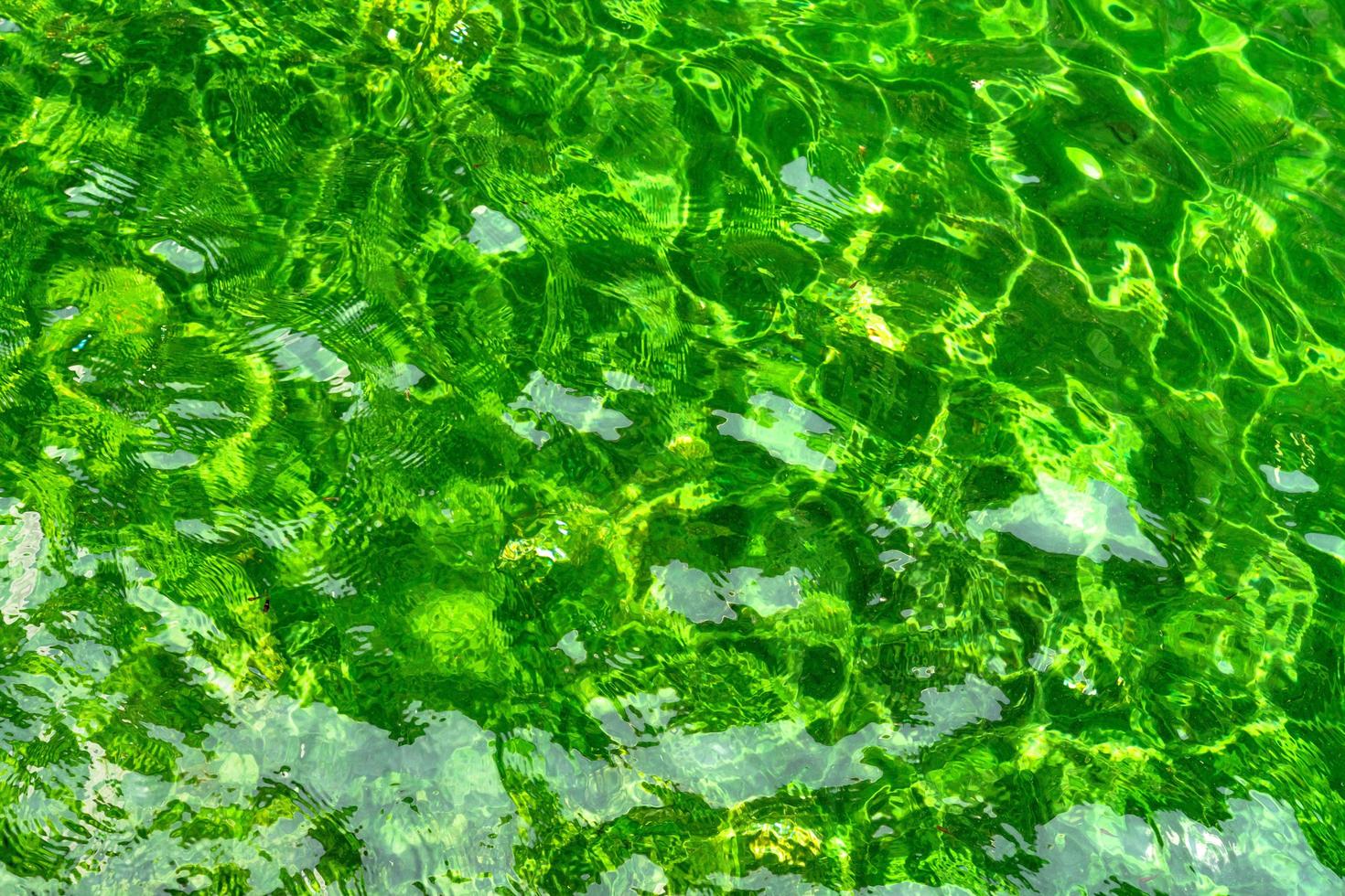 condición verde agua reflejada en el sol foto