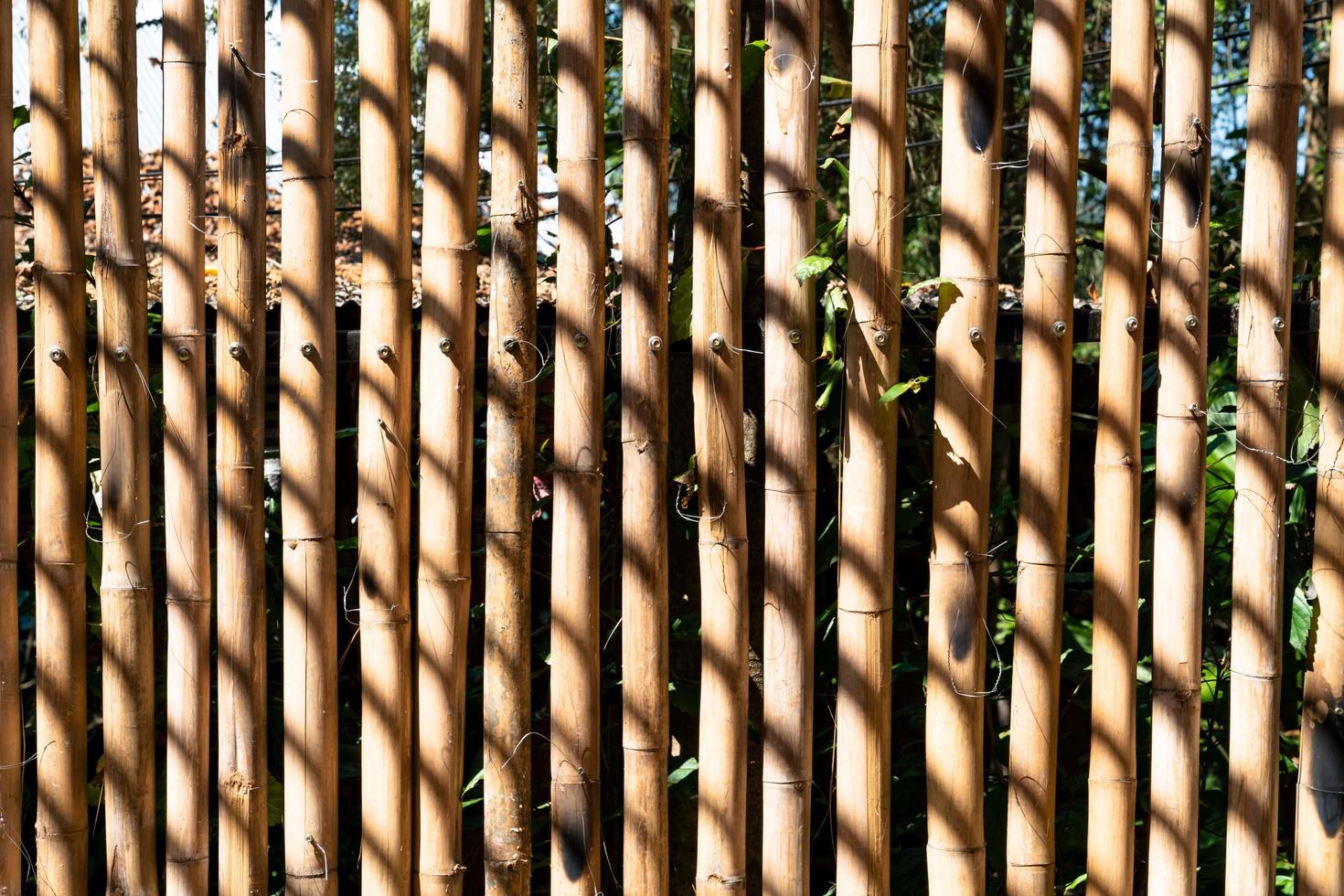 dry bamboo fence pattern with black shadow photo
