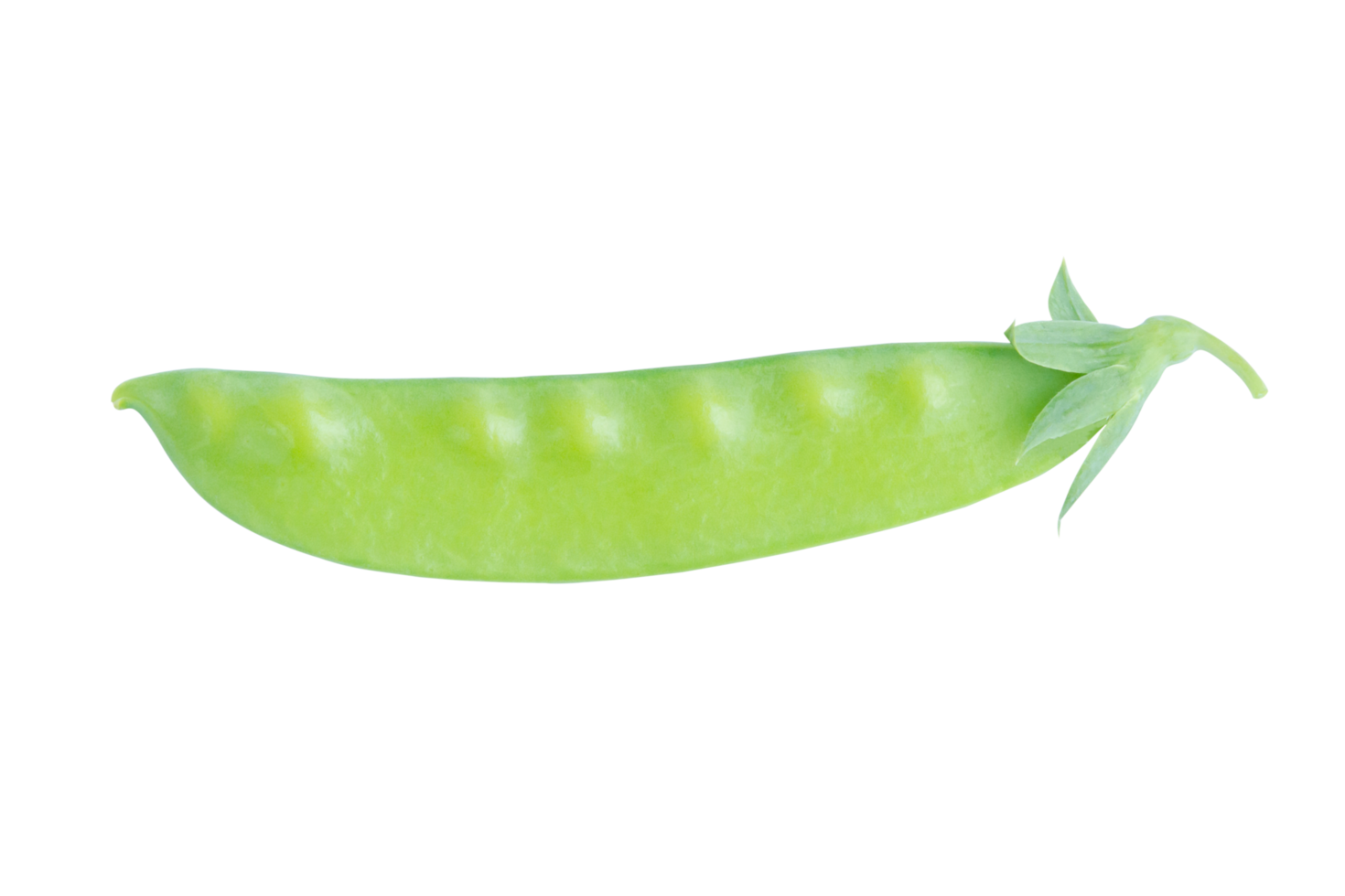 piselli zuccherati, taccole png