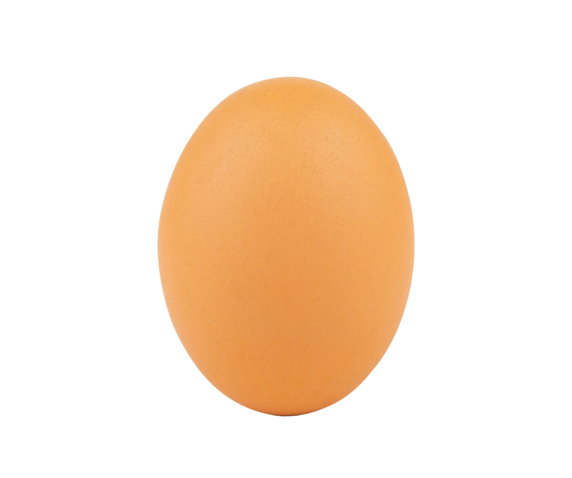 Chicken egg, egg png