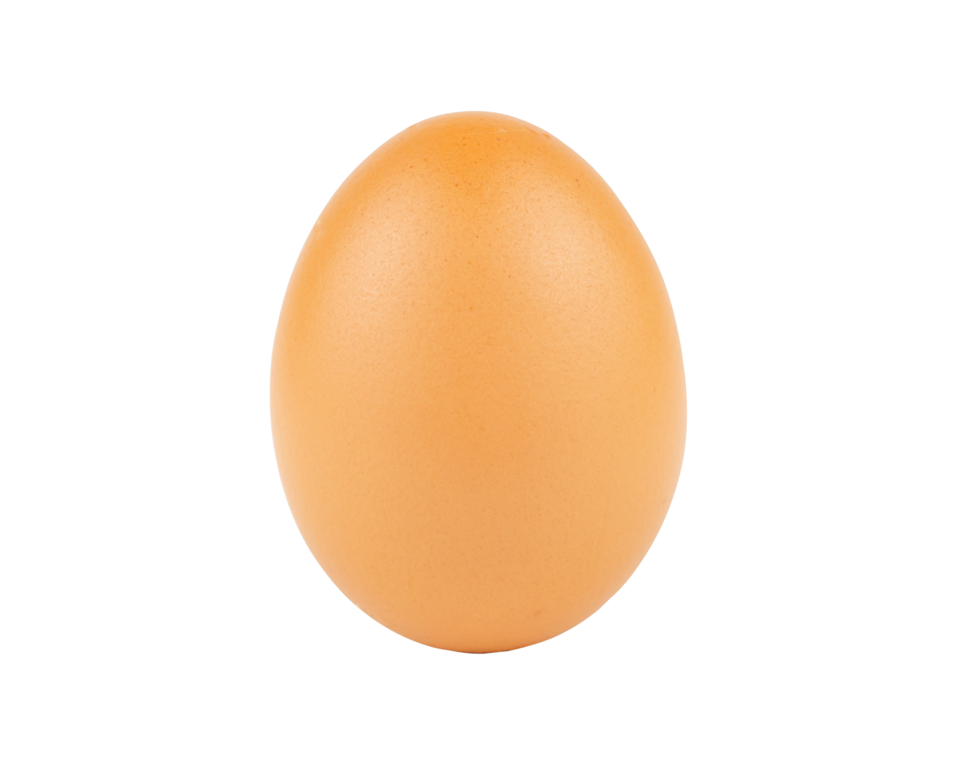 File:Chicken egg.png - Wikipedia