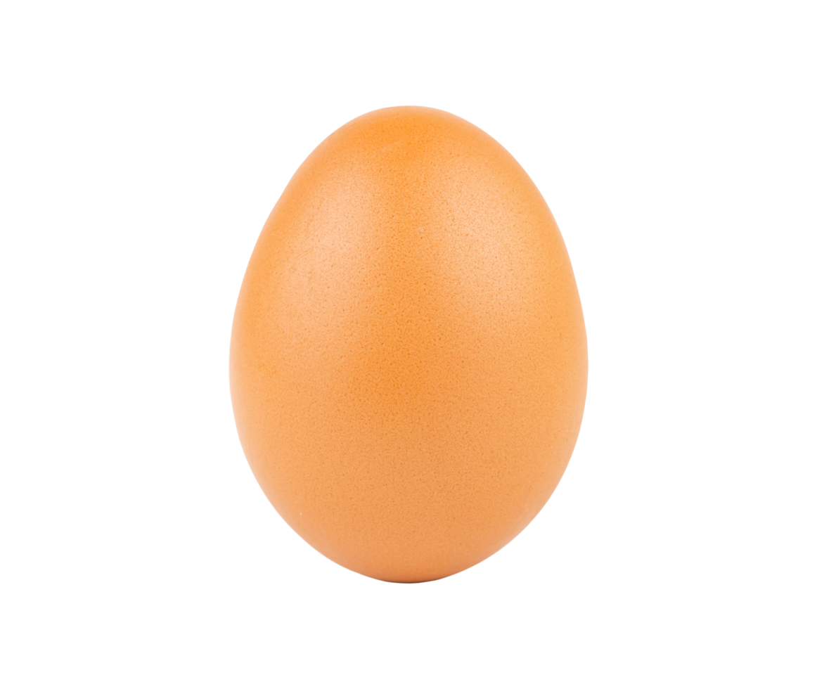 kycklingägg, ägg png