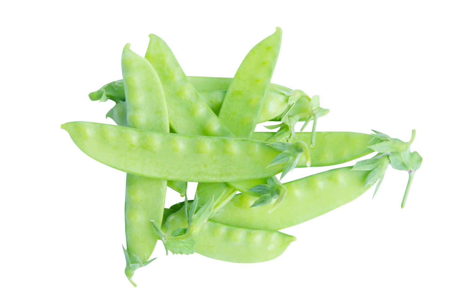 Sugar Pea, Snow peas png