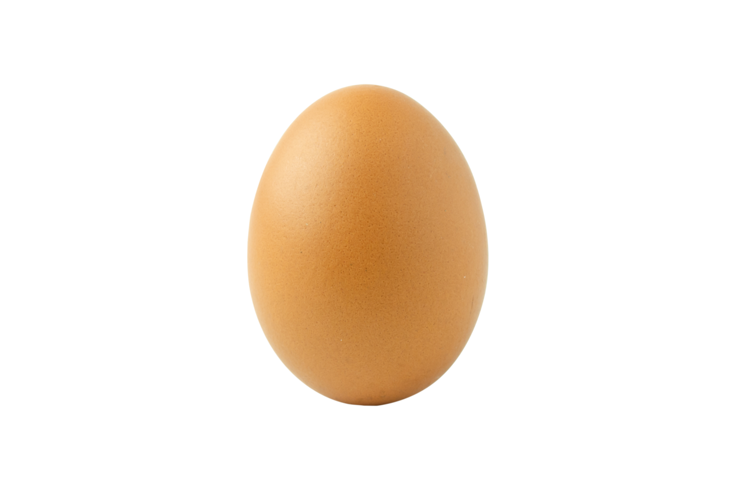 uovo di gallina crudo png