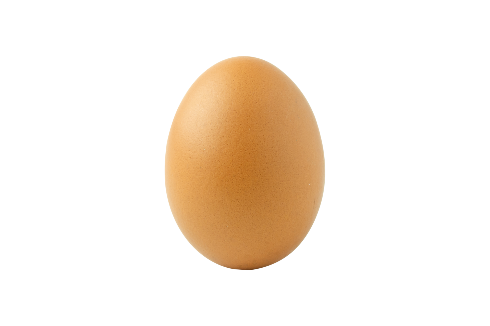 Chicken egg raw 9339329 PNG