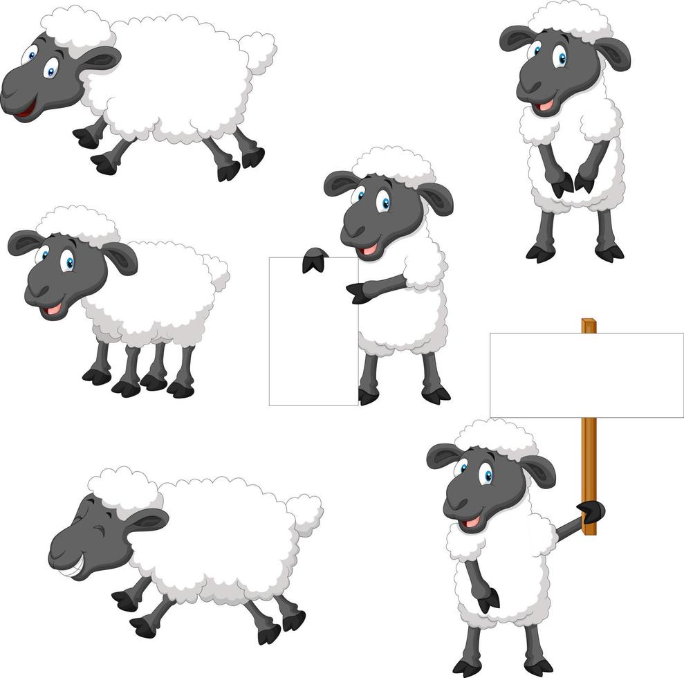 conjunto de colección de ovejas de dibujos animados lindo vector