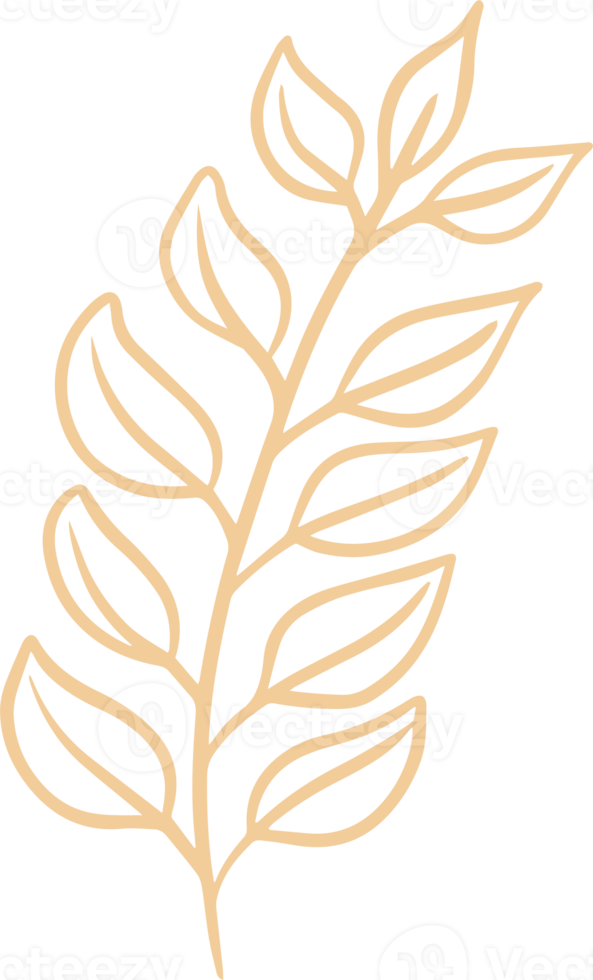 Organic eucalyptus plant illustration for badges and logo. Stamp labels for tag with isolated eucalyptus leaves. Hand drawn natural in simple rustic design. png
