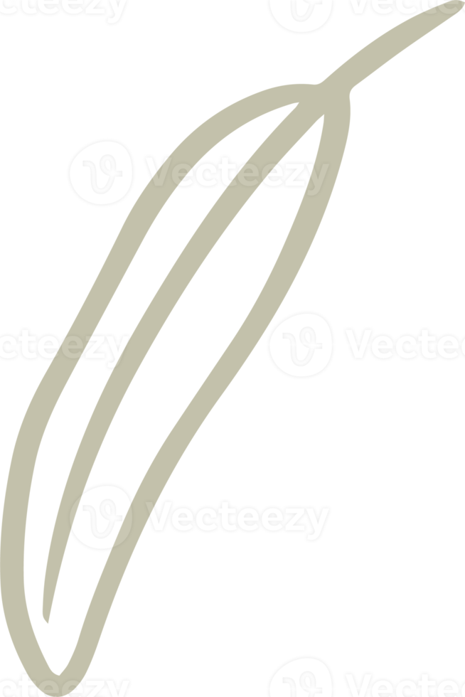 olivenpflanzenillustration für abzeichen und logo. stempeletiketten für tag mit isolierter olivenpflanze. handgezeichnete Natur für einfaches rustikales Gestaltungselement. png