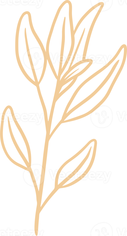 Olive plant illustration for badges and logo. Stamp labels for tag with isolated olive plant. Hand drawn natural for simple rustic design element. png