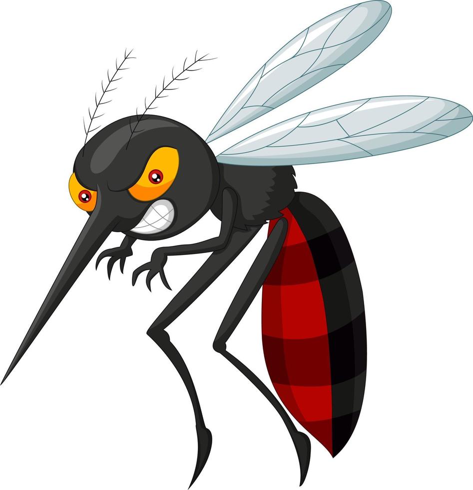 Angry mosquito cartoon vector