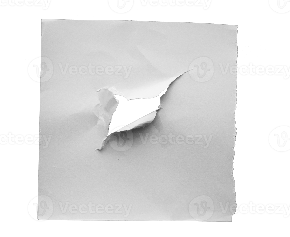 raccolta di carta strappata con i lati strappati arricciati. un buco nero rotondo di strappato sulla carta bianca. carta strappata realistica con i bordi strappati per spazio di copia e testo. png
