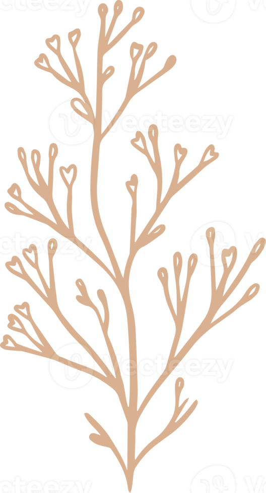 Limonium floral illustration for badges and logo. Stamp labels for tag with isolated limonium flower. Hand drawn natural for simple rustic design element. png