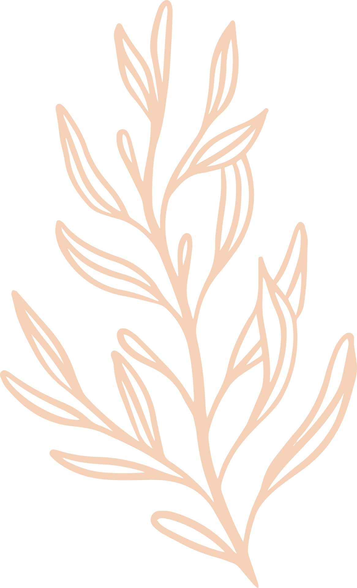 sage plant hand drawn illustration 9340304 PNG