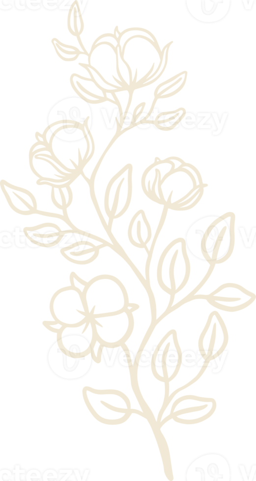 ilustração de planta de algodão orgânico e modelo de logotipo de crachás. rótulos de selo vintage para tag com flor de algodão isolada. coleção de sinal natural desenhado à mão e elemento de design rústico. png