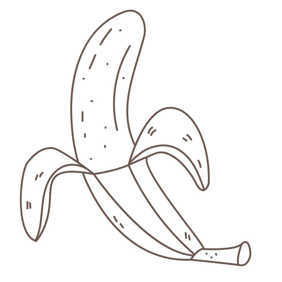 Banana in doodle uncovered vector