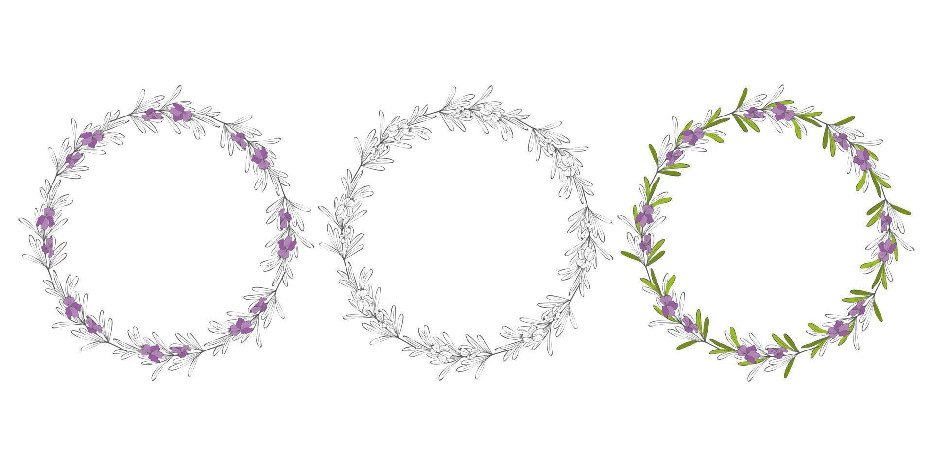 Wreath hand drawing round frame Rosemary sprigs. Set of floral wreaths with leaves, branches. Decorative elements for design. Dudling outline silhouette. Vector illustration