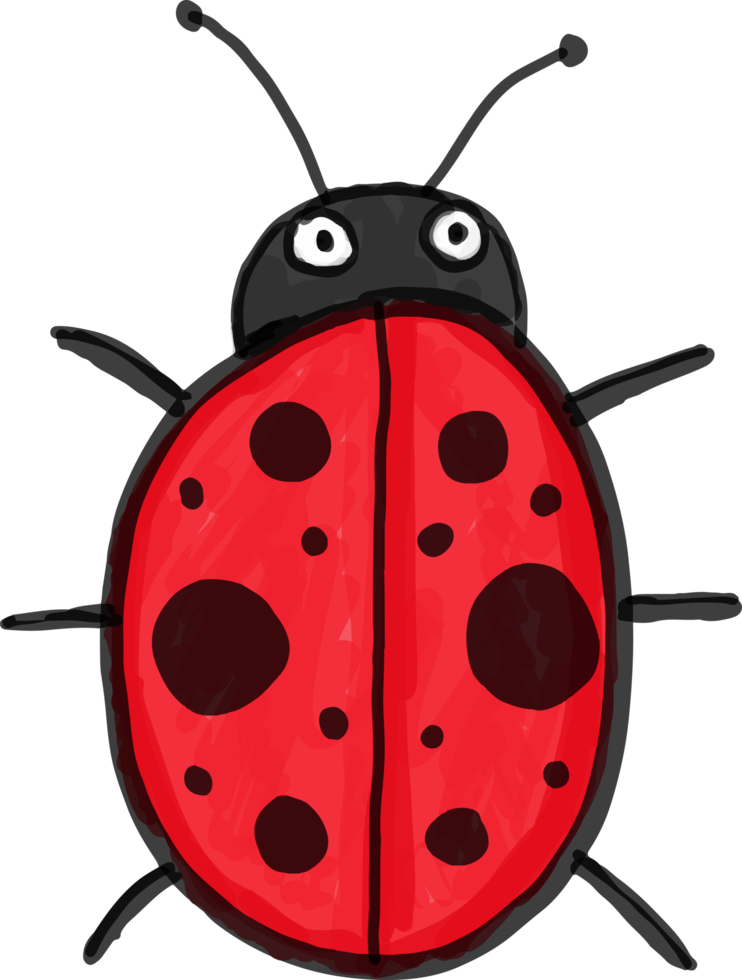 Draw Ladybug icon sign design png