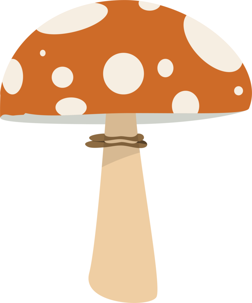 Pilz-Clipart-Design-Illustration png