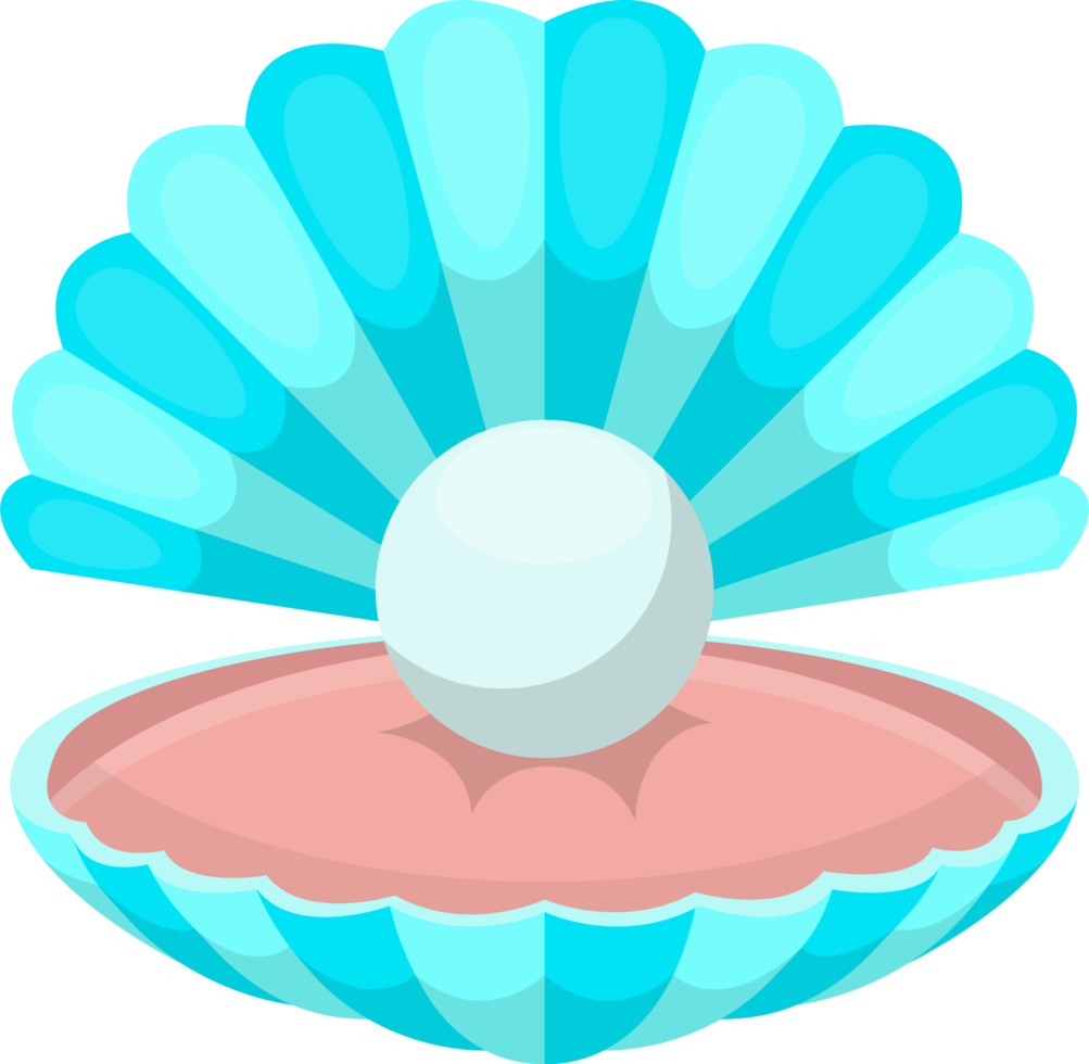 coquille de mer avec illustration de conception clipart perle png