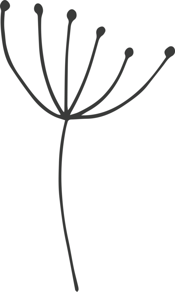 Hand drawn flower clipart design illustration png