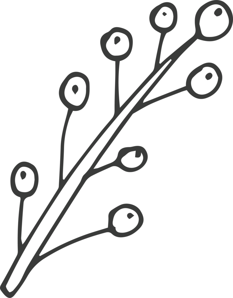 Hand drawn flower clipart design illustration png