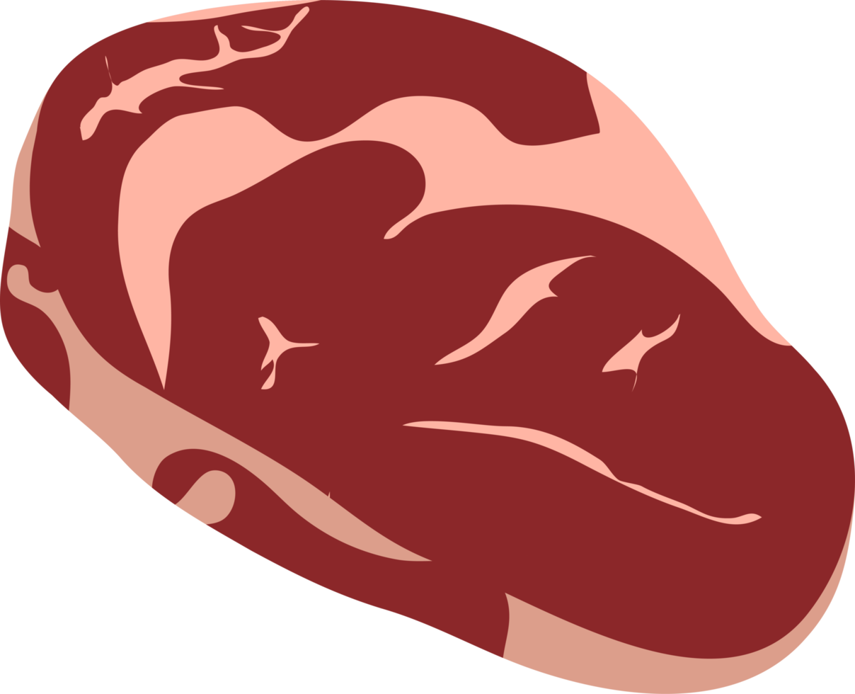 Ilustración de diseño de imágenes prediseñadas de carne fresca png