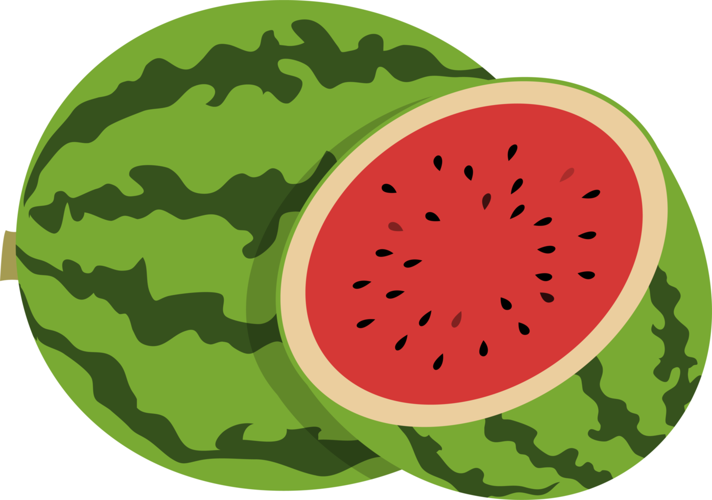 Watermelon fruit clipart design illustration png