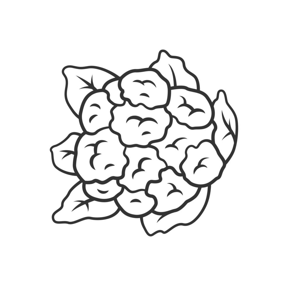 Cauliflower linear icon. Cabbage. Agriculture plant. Salad ingredient. Vegetable farm. Vegan food. Thin line illustration. Contour symbol. Vector isolated outline drawing. Editable stroke