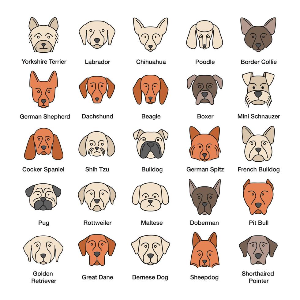 Dogs breeds color icons set. Guide, guardian, hunting, herding dogs. Isolated vector illustrations