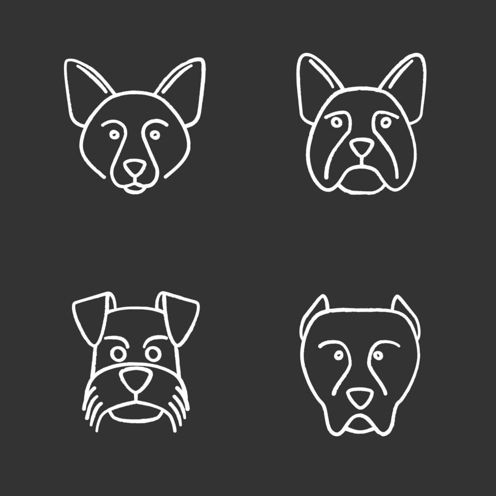 Dogs breeds chalk icons set. Border Collie, French Bulldog, Miniature Schnauzer, German Shorthaired Pointer. Isolated vector chalkboard illustrations