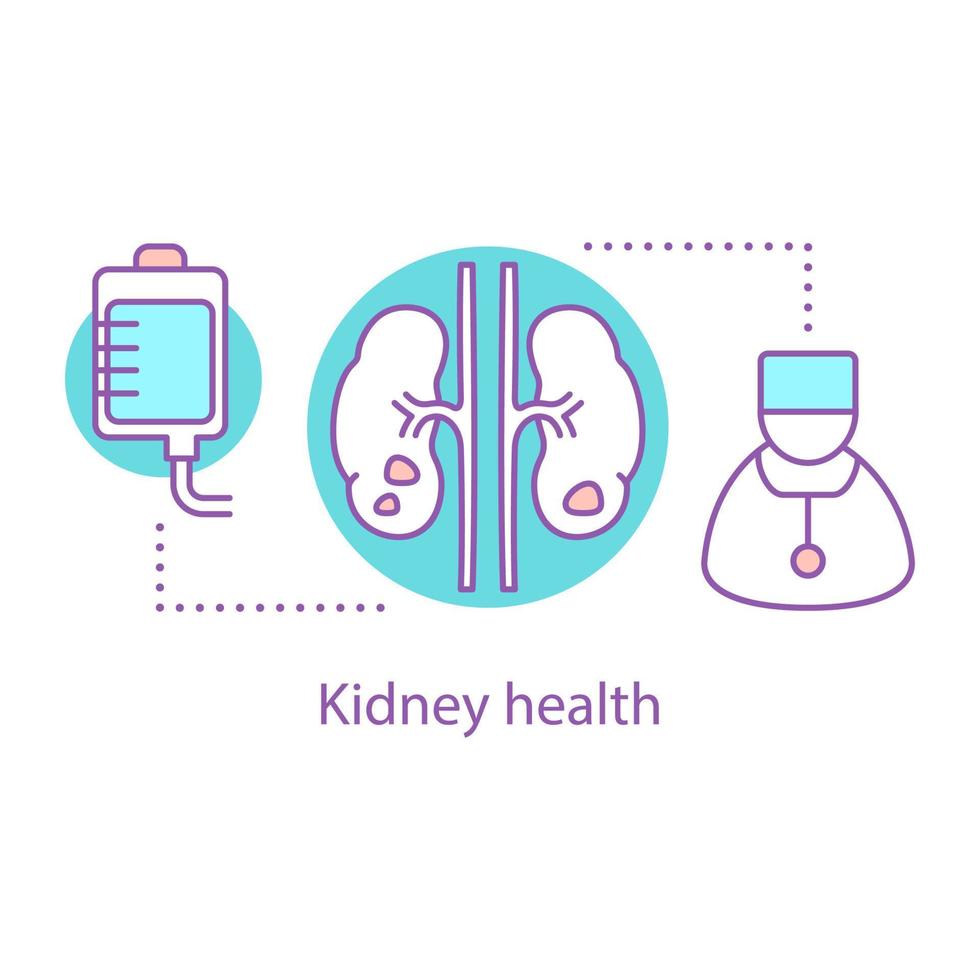 Urology concept icon. Urinary system idea thin line illustration. Kidneys health. Vector isolated outline drawing