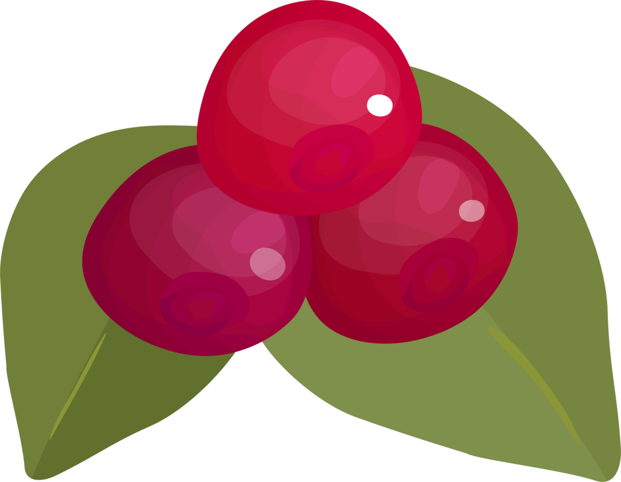 Red berry with leaves. png