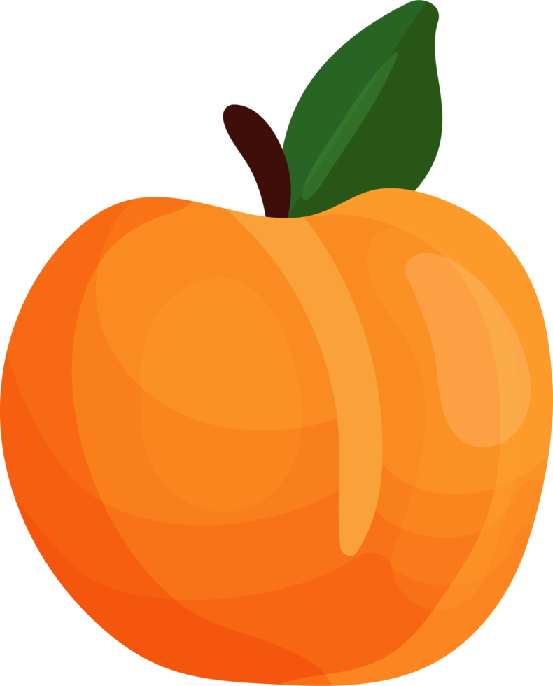 oranje perzik fruit. png