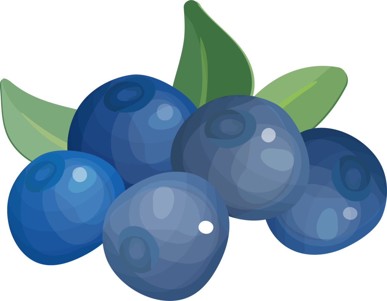 Blueberry blue with leaves. png