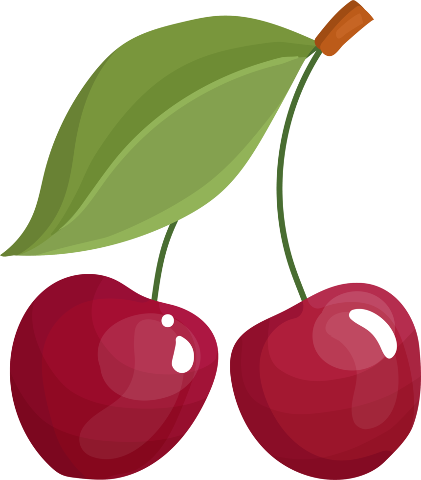 Cherry red on a branch. png