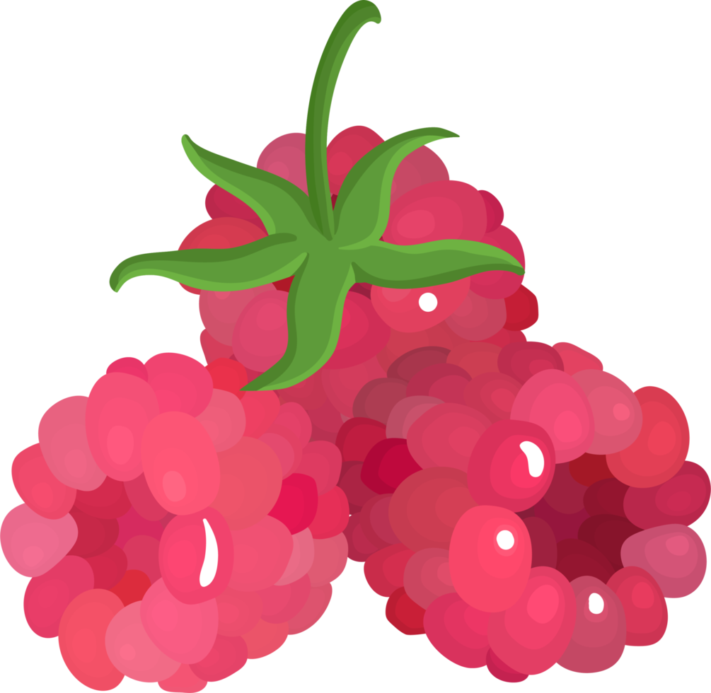 Three red raspberries. png