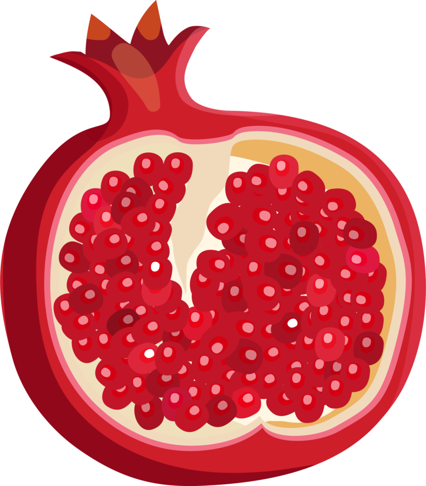 Free Half of a red pomegranate. 9343884 PNG with Transparent Background