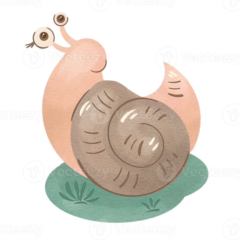 Snail illustration in cartoon style png