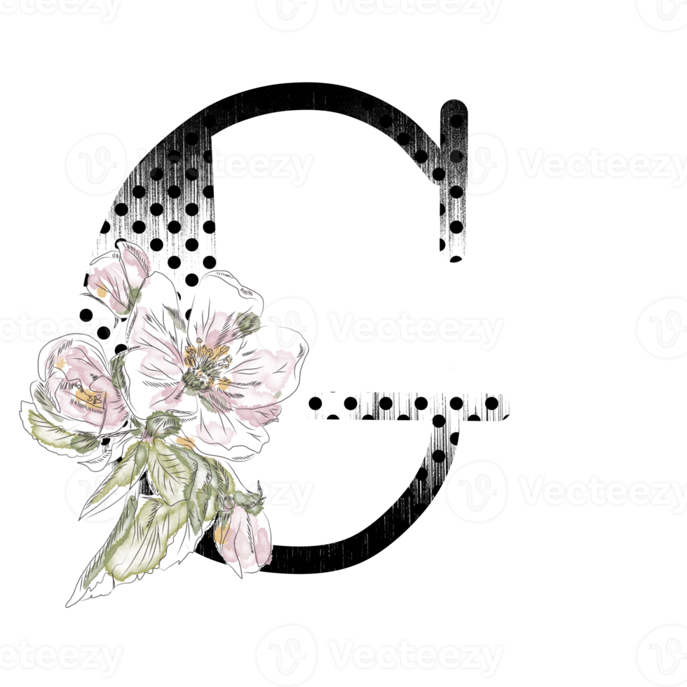 illustration de lettres décorées d'un bouquet de pivoines png