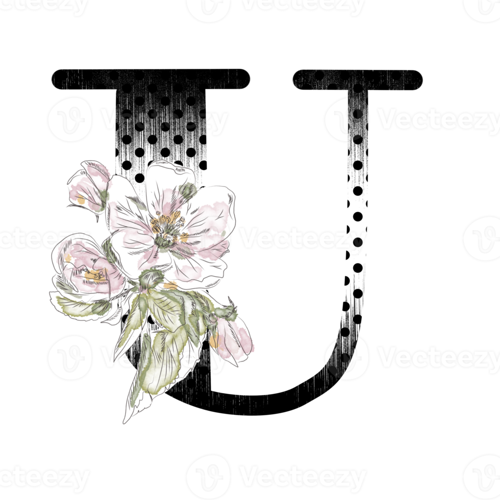 Illustration of letters decorated with a bouquet of peonies png