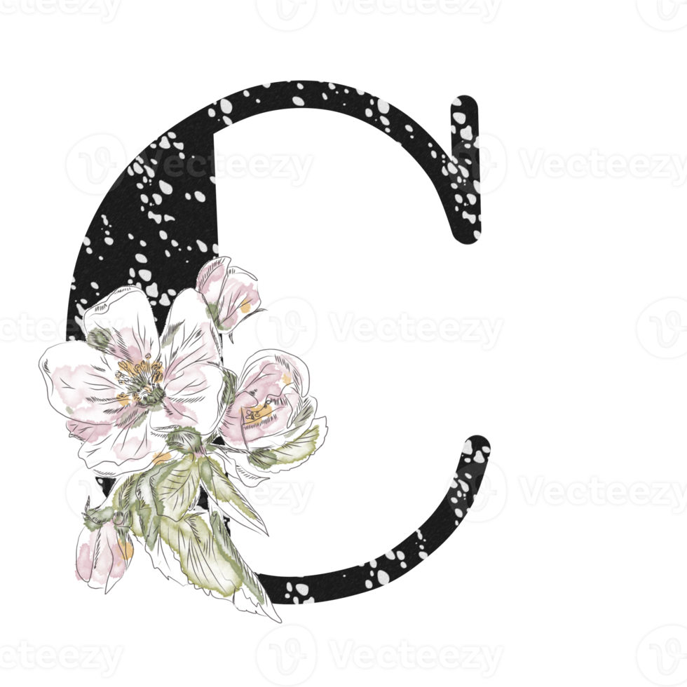 illustration de lettres décorées d'un bouquet de pivoines png