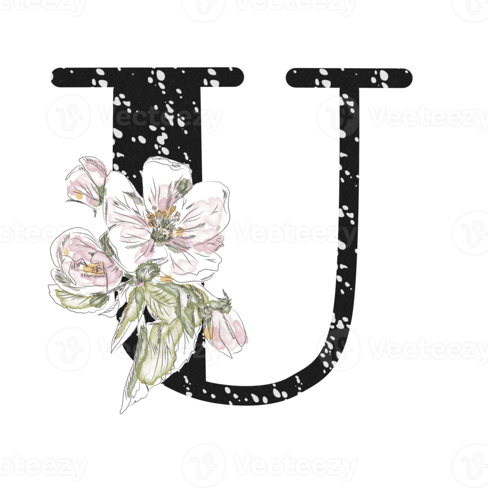 Illustration of letters decorated with a bouquet of peonies png