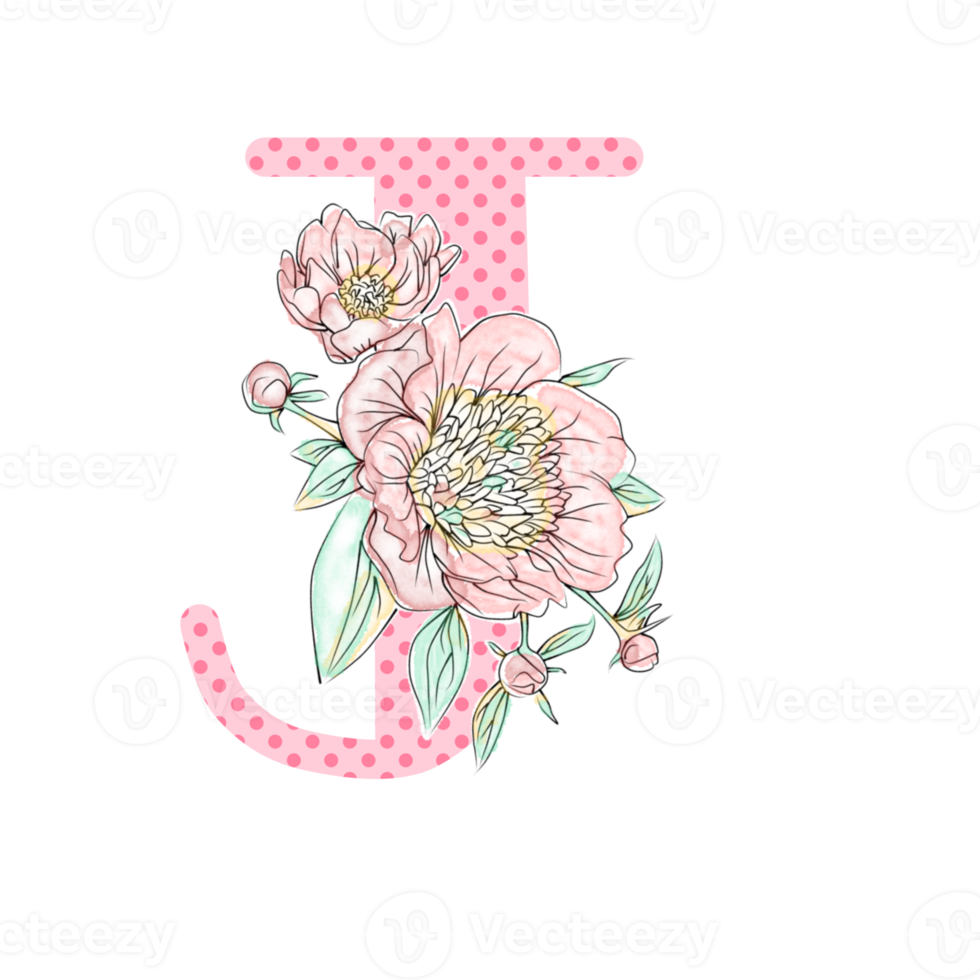 Illustration of letters decorated with a bouquet of peonies png