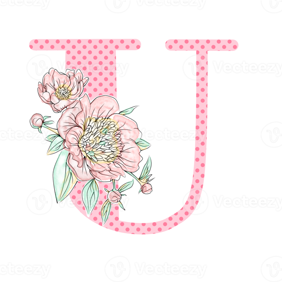 Illustration of letters decorated with a bouquet of peonies png