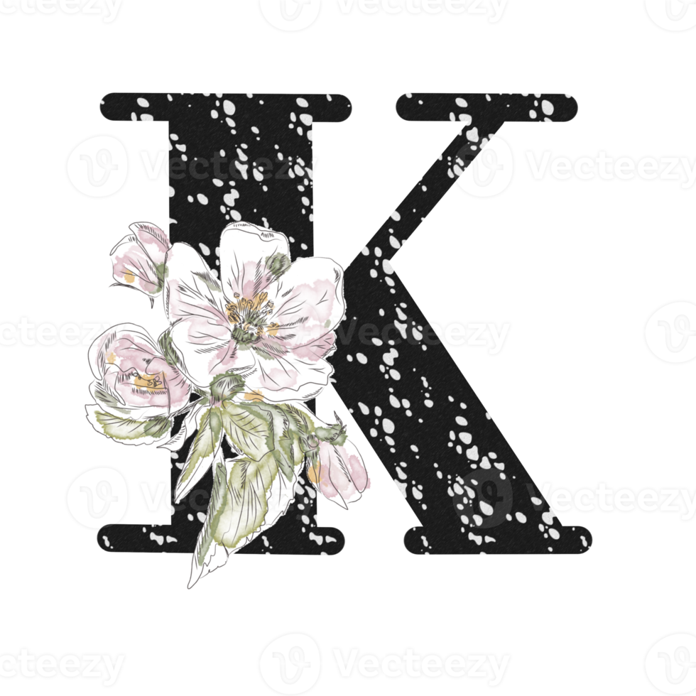 illustration de lettres décorées d'un bouquet de pivoines png