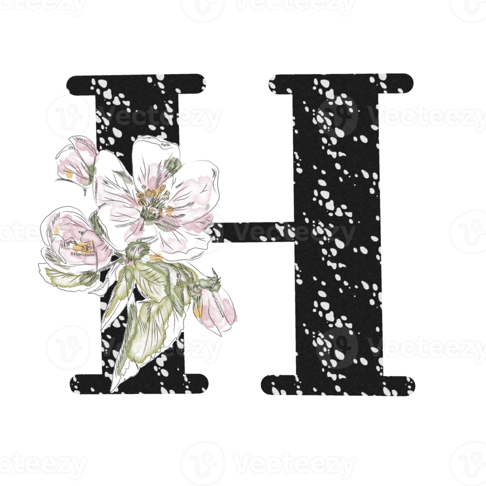 illustration de lettres décorées d'un bouquet de pivoines png